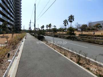敷地西側の前面道路