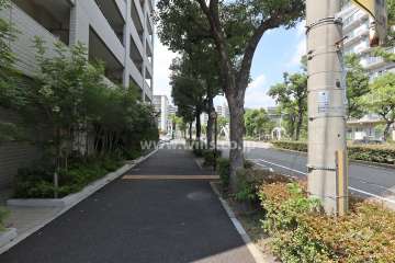 敷地東側の前面道路（南側から）