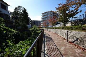 石澄川沿いの遊歩道
