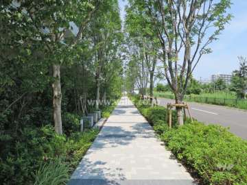 敷地内遊歩道