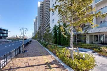 敷地北西側には植栽のきれいなランニングコースがあります。