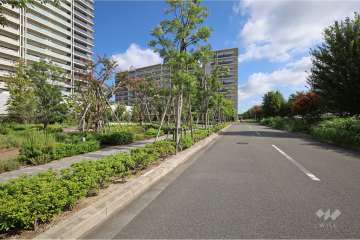 敷地南東側の前面道路（南西側から）