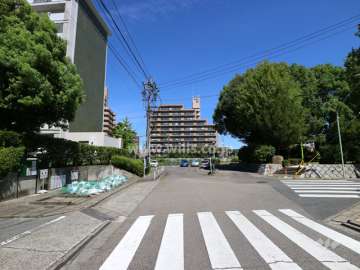 敷地東側の前面道路（南側から）