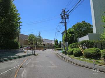 敷地東側の前面道路（北側から）