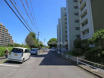 敷地北側の前面道路（西側から）