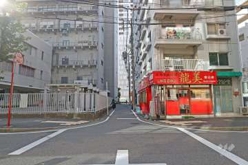敷地東側の前面道路（北側から）