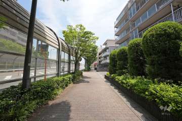 敷地北側の前面道路（西側から）。山手幹線です。
