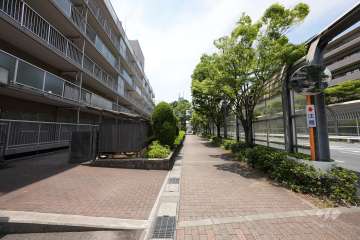 敷地北側の前面道路（東側から）