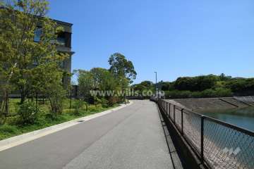 敷地西側の前面道路