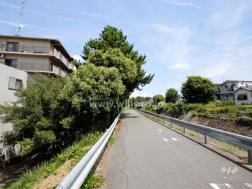 敷地東側には高川が流れています。