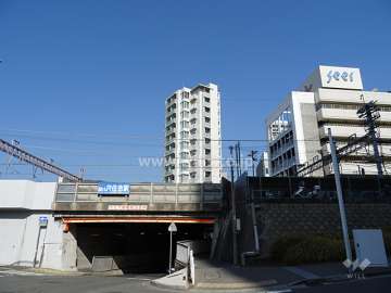 ジオ住吉本町の遠景（南側から）