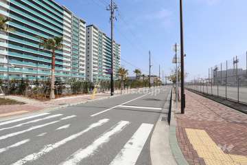 南側前面道路とマンション建物一部（西側から）