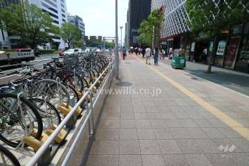 敷地の東側前面道路（北側から）