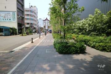 敷地の南側前面道路（東側から）