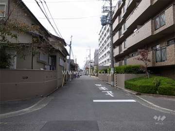 敷地南側の前面道路