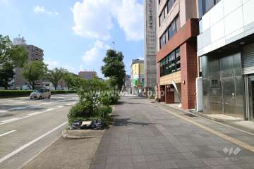 敷地の西側前面道路（南側から）
