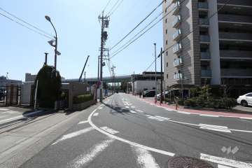 敷地東側の前面道路（北側から）