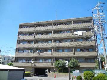 コスモ緑地公園の外観（南側から）