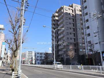敷地西側の前面道路。二車線の通り。