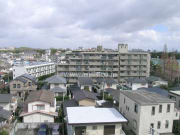 敷地の南側には木々に囲まれた歩道があります。