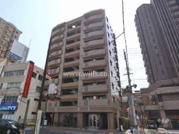 シャトー光が丘の外観(北西側から)