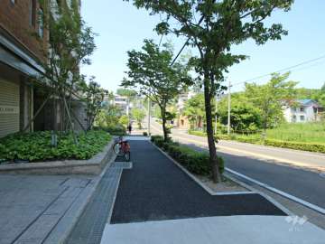 敷地東側の前面道路.街路樹の多い通りです.