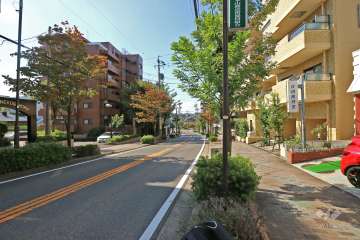 敷地南側の前面道路