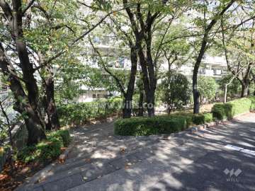 敷地内は緑がたくさんあります。