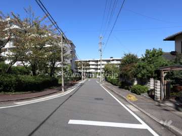 敷地の東側前面道路（南側から）