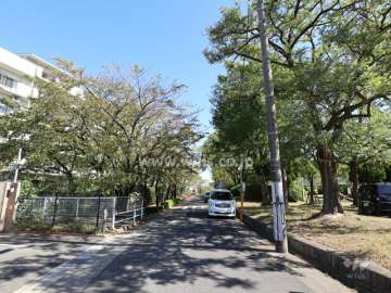 敷地の南東側前面道路（南西側から）