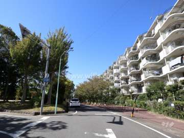 敷地の南東側前面道路（北東側から）