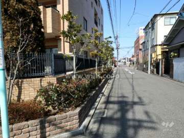 敷地の前面道路