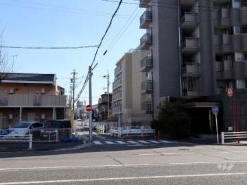 敷地北側の前面道路