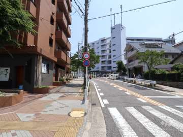 敷地の西側前面道路（北側から）
