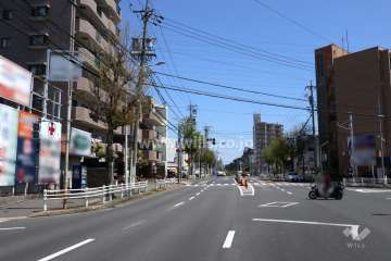 敷地の南東側前面道路（南西側から）