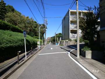 敷地西側の前面道路（南側から）