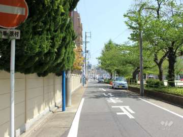 敷地南側の前面道路。目の前には公園もあります。
