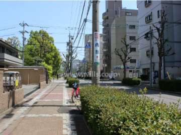 敷地南側の前面道路。車通りの多い通りです。