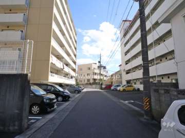 敷地南側の前面道路（西側から）