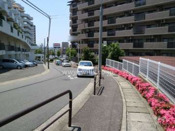 敷地南側の前面道路