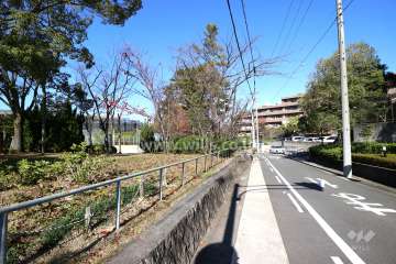 敷地南西側の前面道路２（写真左手に揚羽公園があります）