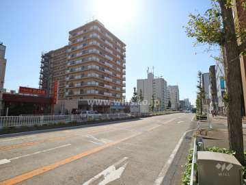 敷地の西側前面道路（北側から）