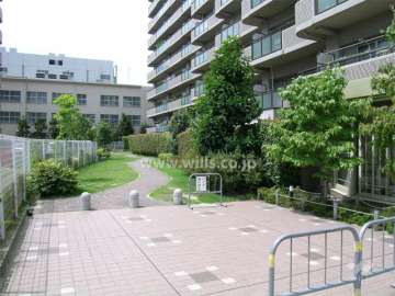 南側の遊歩道