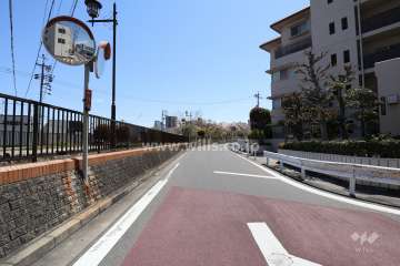 敷地の東側前面道路（北側から）