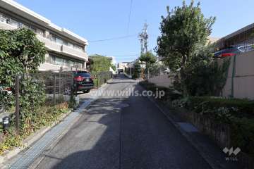 敷地北側の前面道路（西側から）