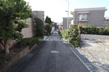 敷地北側の前面道路（東側から）