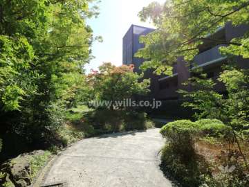 紅葉の回廊