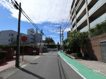 敷地南側の前面道路(東側から)