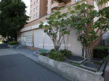敷地内の各所に植栽スペースが設けられています。