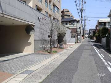 敷地東側の前面道路